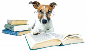 Dog_Books